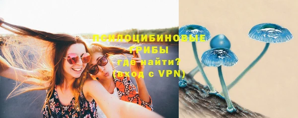амф Алексеевка