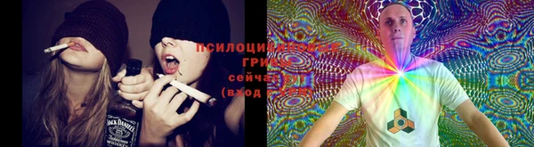 соль ск Абдулино