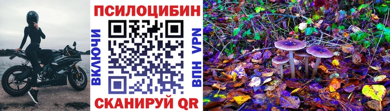 Псилоцибиновые грибы GOLDEN TEACHER  дарк нет наркотические препараты  Тбилисская 