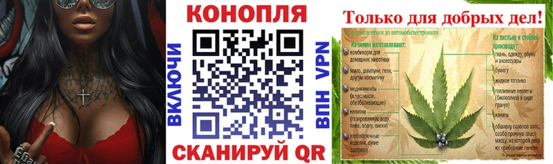 гидра онион маркетплейс телеграм Марихуана гибрид Тбилисская